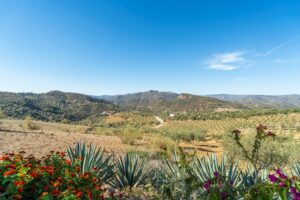 Casa de la Serenidad-39