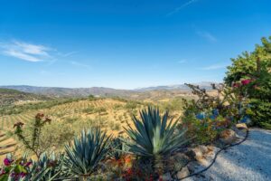 Casa de la Serenidad-40